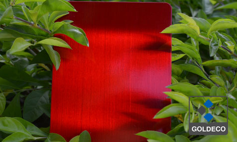 Red Color Stainless Steel Sheet